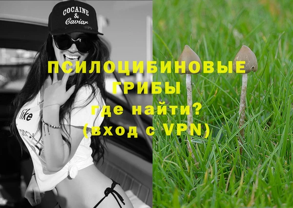 трава Ростов