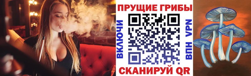 сколько стоит  Отрадная  Псилоцибиновые грибы прущие грибы 